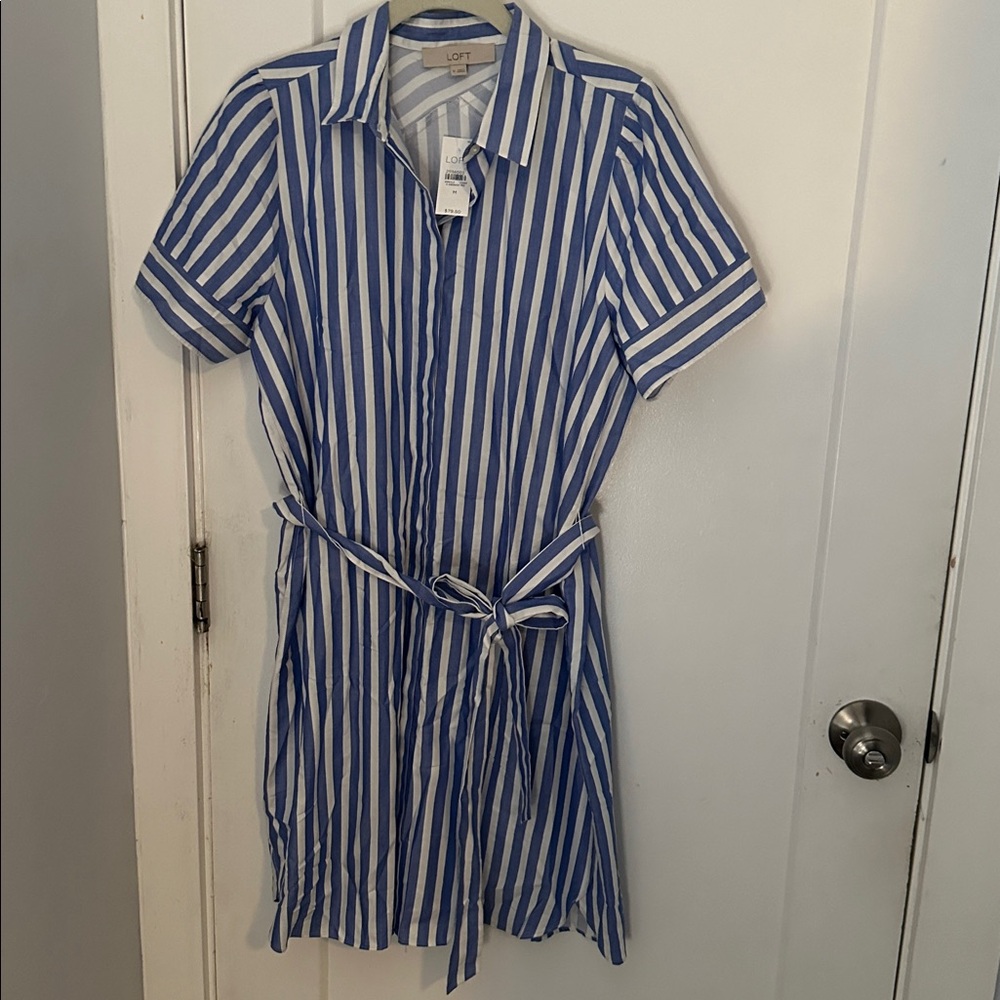 LOFT Blue and White Striped Dress